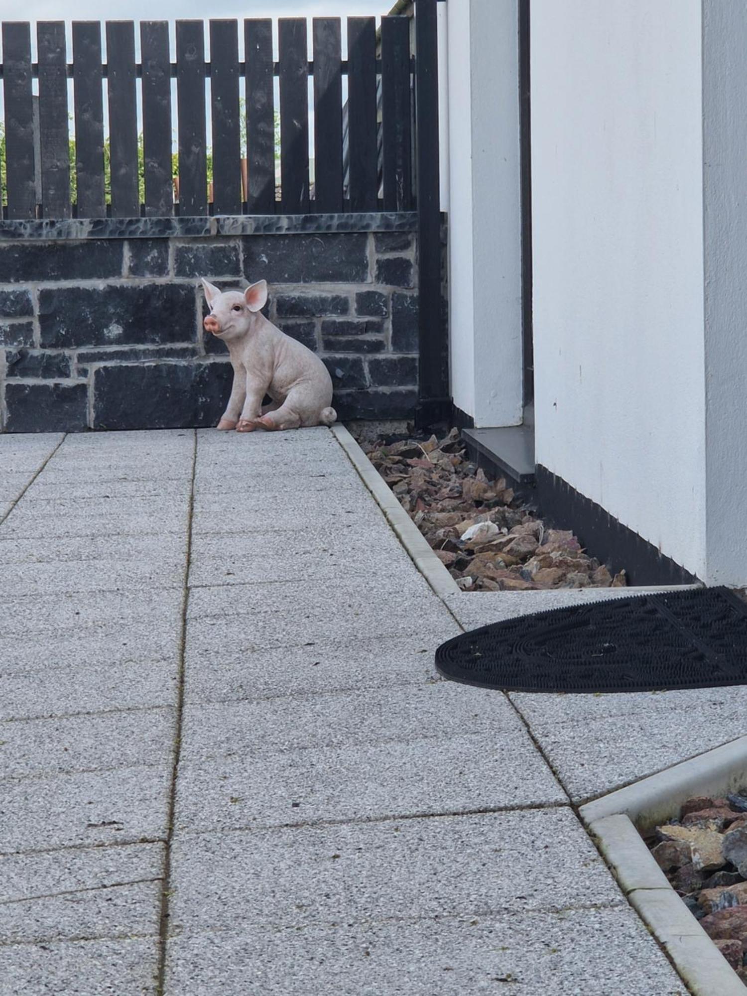 Apartment Aughrim Barn *